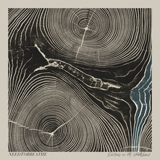 NEEDTOBREATHE 'Multiplied'