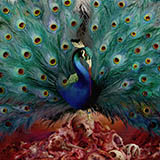 Opeth 'Sorceress'