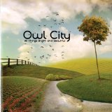 Owl City 'Hospital Flowers'