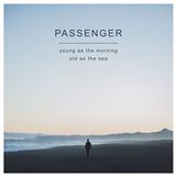 Passenger 'Beautiful Birds'