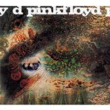 Pink Floyd 'Remember A Day'