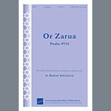 Robert Applebaum 'Or Zarua'