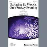 Robert Frost and Bruce W. Tippette 'Stopping By Woods On A Snowy Evening'