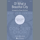 Shawn Kirchner 'O What A Beautiful City'