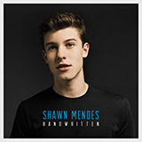 Shawn Mendes 'Something Big'