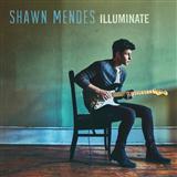 Shawn Mendes 'Three Empty Words'