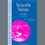 Sherry Blevins 'The Eye of the Hurricane'