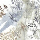 Sigur Ros 'Hoppipolla'