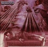 Steely Dan 'The Fez'