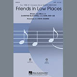 Steve Zegree 'Friends In Low Places'