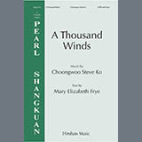 Steven Ko 'A Thousand Winds'