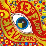 The Thirteenth Floor Elevators 'You're Gonna Miss Me'