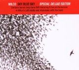 Wilco 'Hate It Here'