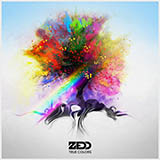 Zedd 'Beautiful Now'