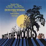 Ed Lojeski 'Into The Woods (Medley)'