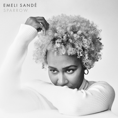 Easily Download Emeli Sande Printable PDF piano music notes, guitar tabs for Piano, Vocal & Guitar Chords (Right-Hand Melody). Transpose or transcribe this score in no time - Learn how to play song progression.