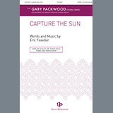 Eric Tsavdar 'Capture The Sun'