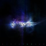 Evanescence 'What You Want'