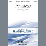 Francisco Nunez 'Pinwheels'