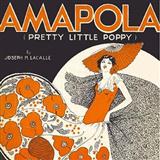 Gary Meisner 'Amapola (Pretty Little Poppy)'