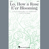 Greg Jasperse 'Lo, How A Rose E'er Blooming'