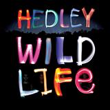 Hedley 'Pocket Full Of Dreams'