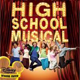 High School Musical 'Stick To The Status Quo'