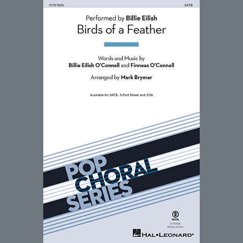 Easily Download Billie Eilish Printable PDF piano music notes, guitar tabs for SSA Choir. Transpose or transcribe this score in no time - Learn how to play song progression.