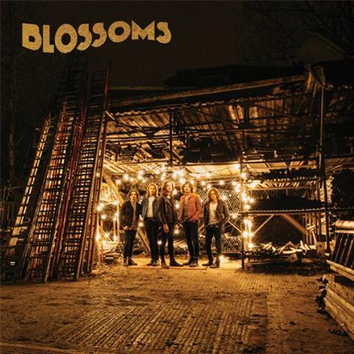 Easily Download Blossoms Printable PDF piano music notes, guitar tabs for Piano, Vocal & Guitar Chords. Transpose or transcribe this score in no time - Learn how to play song progression.