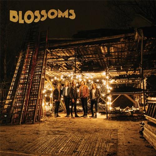 Easily Download Blossoms Printable PDF piano music notes, guitar tabs for Really Easy Piano. Transpose or transcribe this score in no time - Learn how to play song progression.