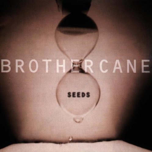 Easily Download Brother Cane Printable PDF piano music notes, guitar tabs for Guitar Tab. Transpose or transcribe this score in no time - Learn how to play song progression.