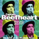 Easily Download Captain Beefheart Printable PDF piano music notes, guitar tabs for Ukulele. Transpose or transcribe this score in no time - Learn how to play song progression.
