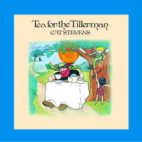 Easily Download Cat Stevens Printable PDF piano music notes, guitar tabs for Guitar Tab (Single Guitar). Transpose or transcribe this score in no time - Learn how to play song progression.