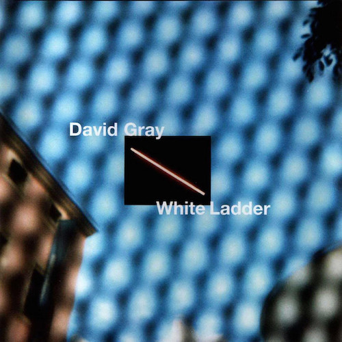 Easily Download David Gray Printable PDF piano music notes, guitar tabs for Really Easy Piano. Transpose or transcribe this score in no time - Learn how to play song progression.