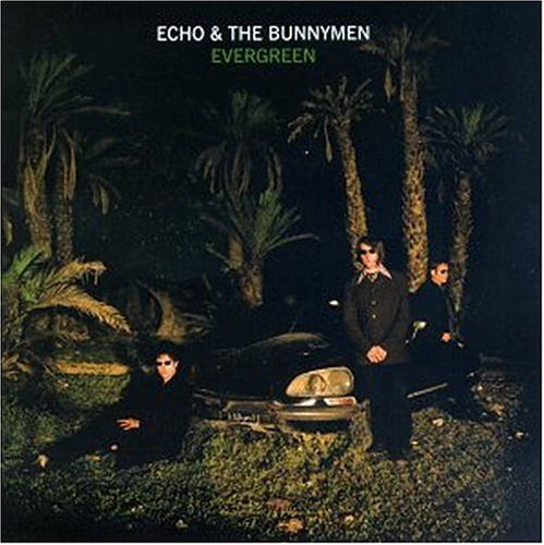 Easily Download Echo & The Bunnymen Printable PDF piano music notes, guitar tabs for Guitar Chords/Lyrics. Transpose or transcribe this score in no time - Learn how to play song progression.