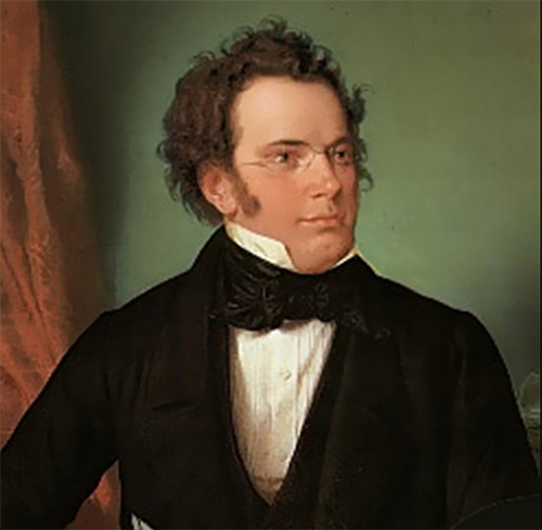 Easily Download Franz Schubert Printable PDF piano music notes, guitar tabs for Recorder Solo. Transpose or transcribe this score in no time - Learn how to play song progression.