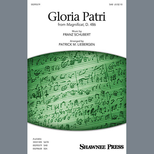 Easily Download Franz Schubert Printable PDF piano music notes, guitar tabs for SAB Choir. Transpose or transcribe this score in no time - Learn how to play song progression.