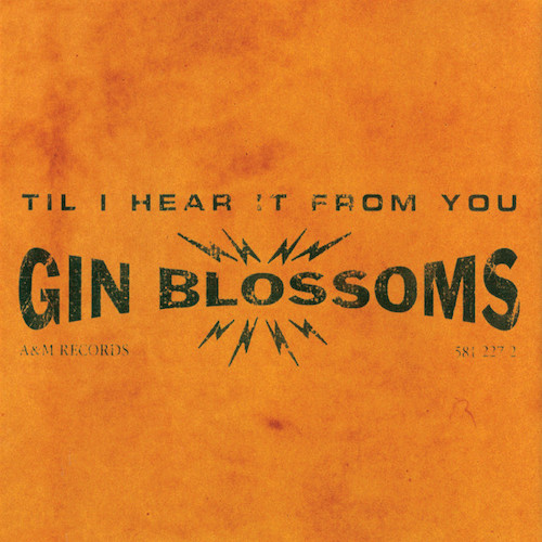 Easily Download Gin Blossoms Printable PDF piano music notes, guitar tabs for Guitar Tab. Transpose or transcribe this score in no time - Learn how to play song progression.