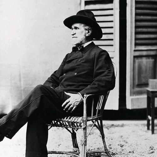 Easily Download Giuseppe Verdi Printable PDF piano music notes, guitar tabs for Guitar Ensemble. Transpose or transcribe this score in no time - Learn how to play song progression.