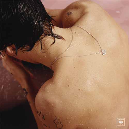Easily Download Harry Styles Printable PDF piano music notes, guitar tabs for Big Note Piano. Transpose or transcribe this score in no time - Learn how to play song progression.