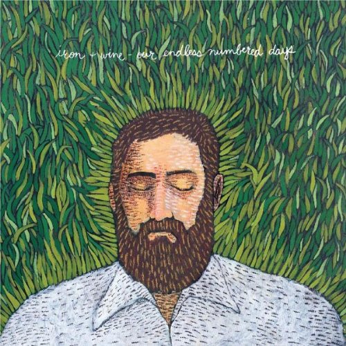 Easily Download Iron & Wine Printable PDF piano music notes, guitar tabs for Guitar Tab. Transpose or transcribe this score in no time - Learn how to play song progression.