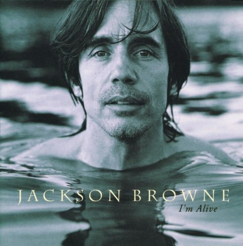 Easily Download Jackson Browne Printable PDF piano music notes, guitar tabs for Piano, Vocal & Guitar Chords. Transpose or transcribe this score in no time - Learn how to play song progression.