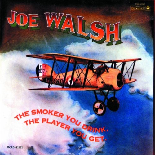 Easily Download Joe Walsh Printable PDF piano music notes, guitar tabs for Guitar Tab (Single Guitar). Transpose or transcribe this score in no time - Learn how to play song progression.