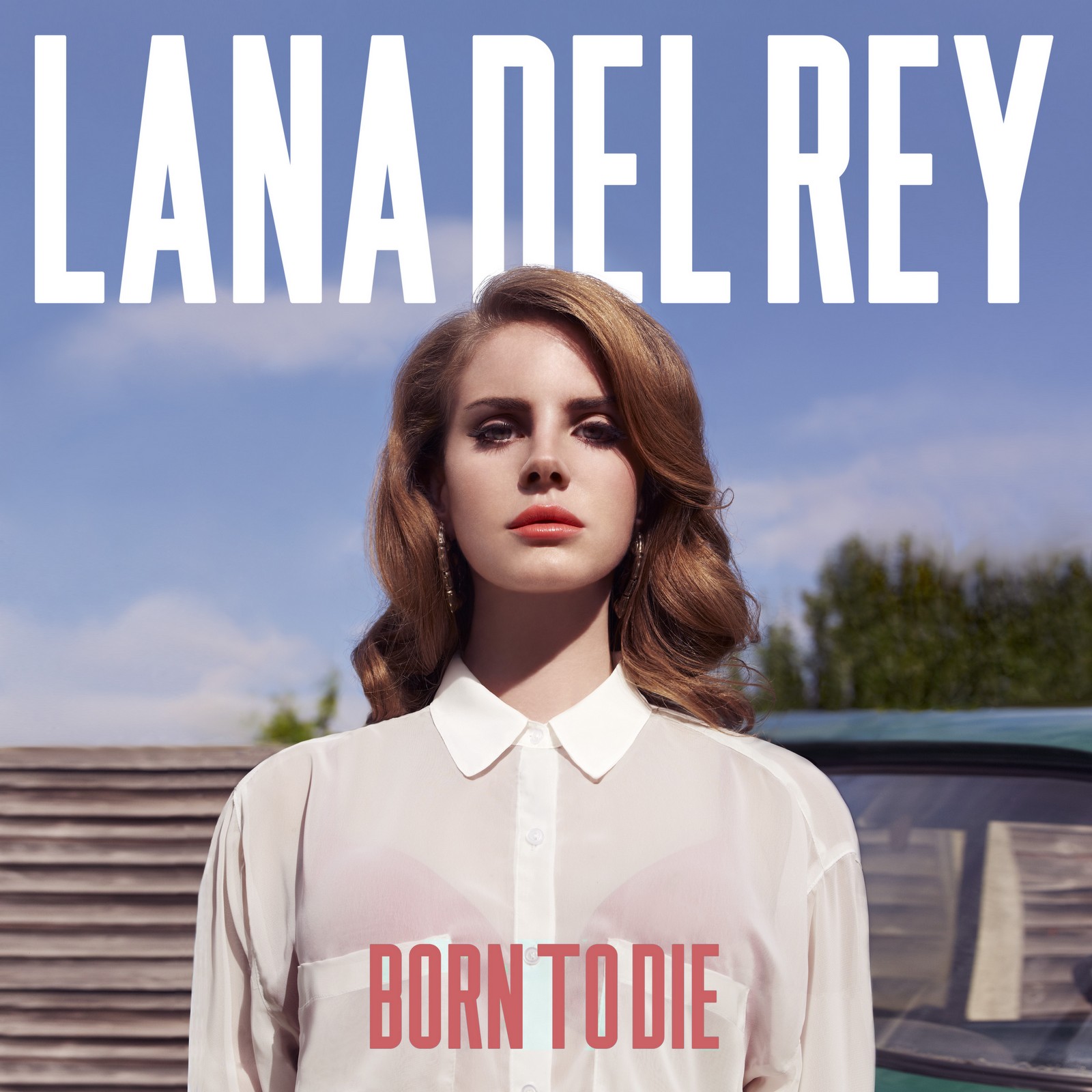 Easily Download Lana Del Rey Printable PDF piano music notes, guitar tabs for Piano, Vocal & Guitar Chords (Right-Hand Melody). Transpose or transcribe this score in no time - Learn how to play song progression.