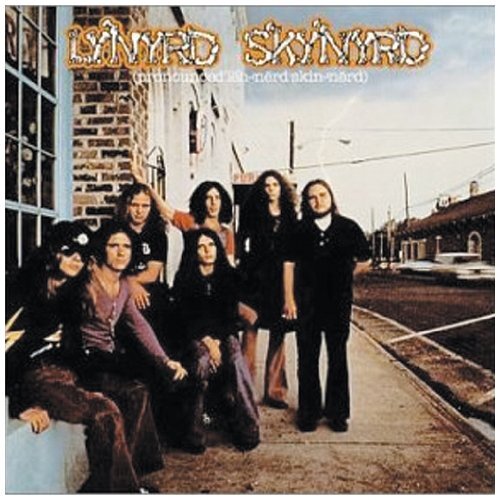 Easily Download Lynyrd Skynyrd Printable PDF piano music notes, guitar tabs for Flute Solo. Transpose or transcribe this score in no time - Learn how to play song progression.