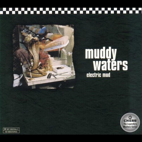 Easily Download Muddy Waters Printable PDF piano music notes, guitar tabs for Easy Bass Tab. Transpose or transcribe this score in no time - Learn how to play song progression.
