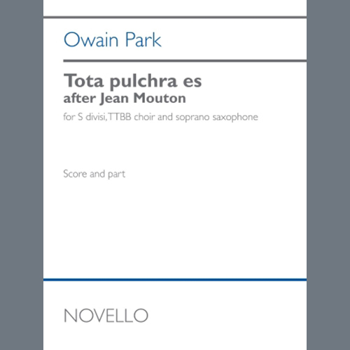 Easily Download Owain Park Printable PDF piano music notes, guitar tabs for Choir. Transpose or transcribe this score in no time - Learn how to play song progression.