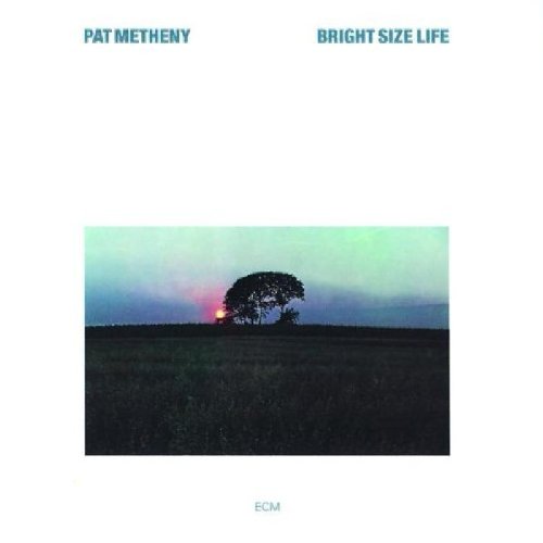 Easily Download Pat Metheny Printable PDF piano music notes, guitar tabs for Bass Guitar Tab. Transpose or transcribe this score in no time - Learn how to play song progression.