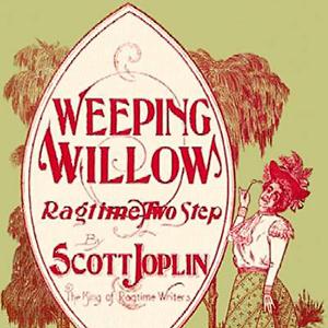 Easily Download Scott Joplin Printable PDF piano music notes, guitar tabs for Easy Piano. Transpose or transcribe this score in no time - Learn how to play song progression.