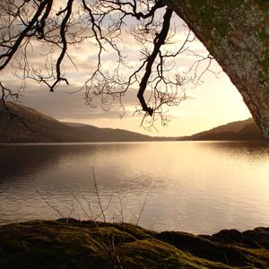 Easily Download Scottish Folksong Printable PDF piano music notes, guitar tabs for Solo Guitar. Transpose or transcribe this score in no time - Learn how to play song progression.